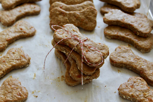 Homemade Pet Treats
