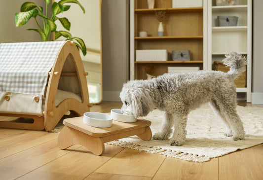 How to Build a Pet-Friendly Home
