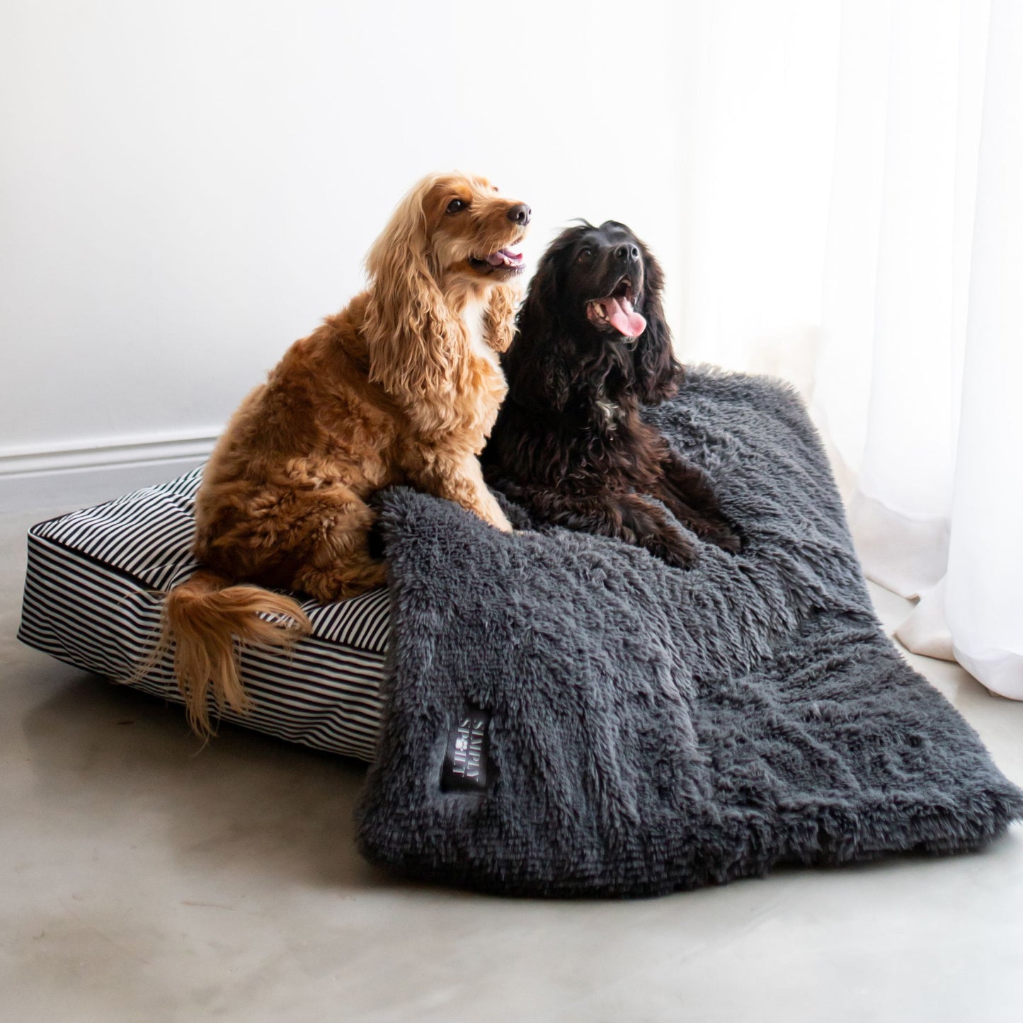 CALMING BLANKETS