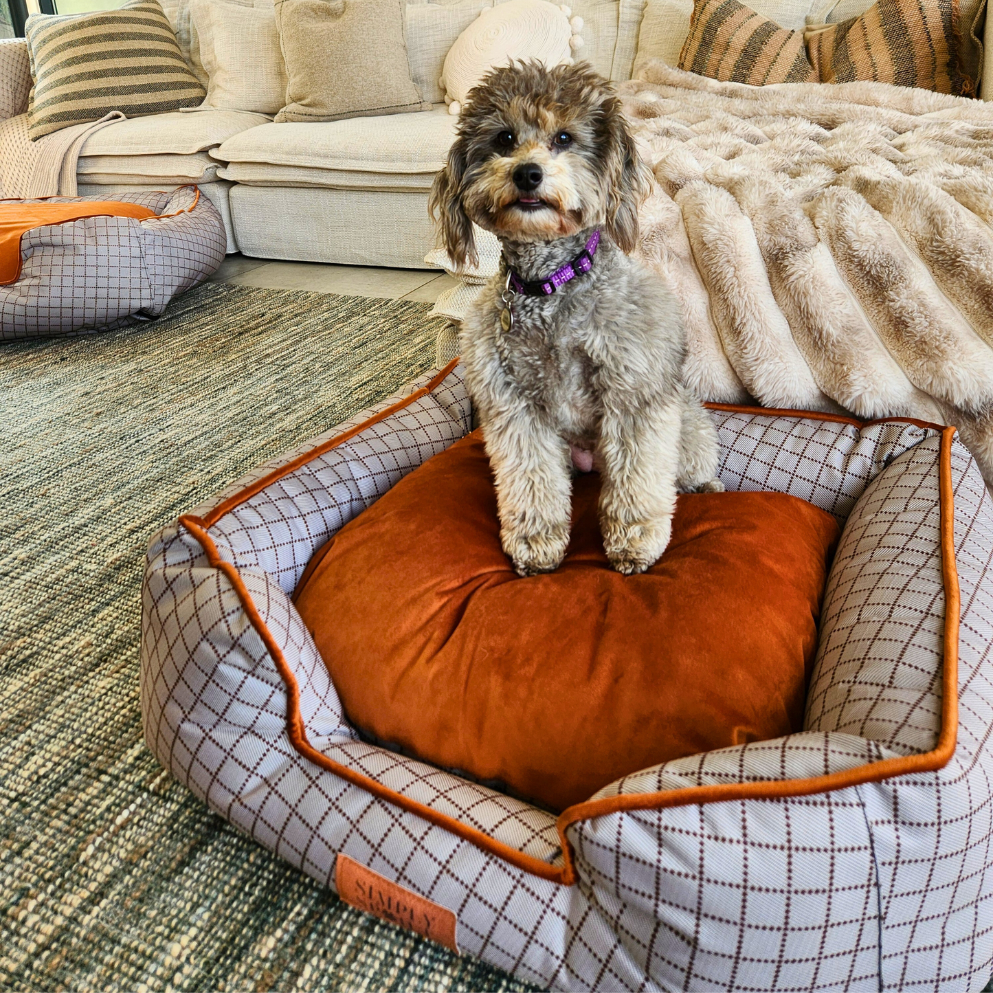 Royal Slumber Bed