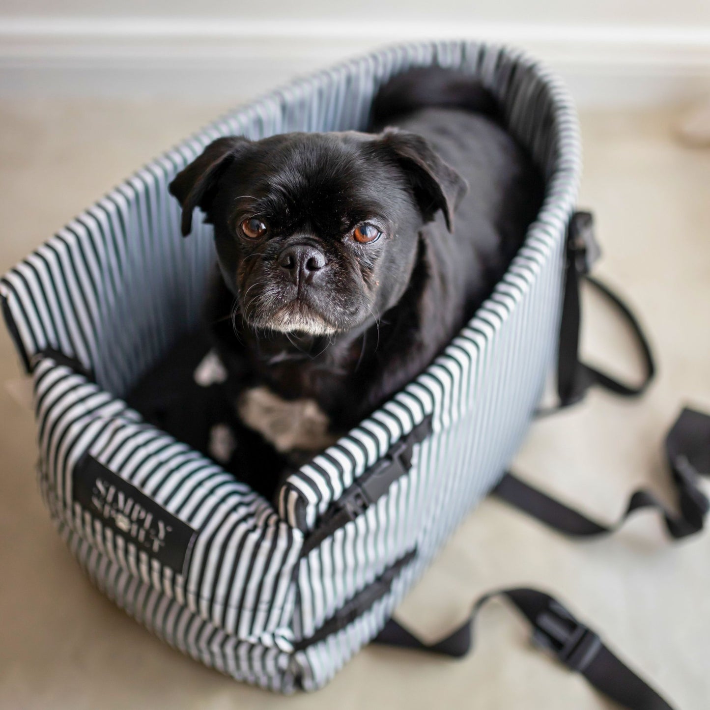 CONSOLE CAR SEAT