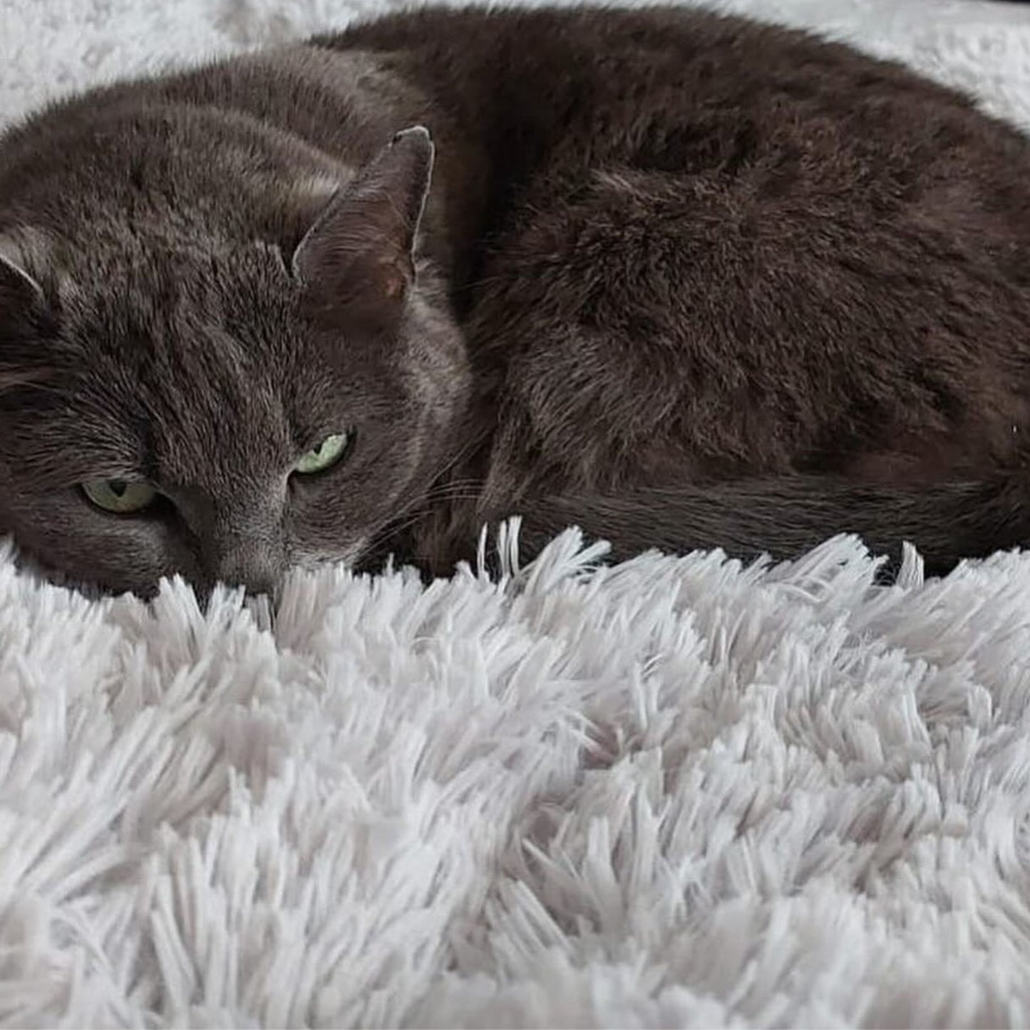 CALMING BLANKETS