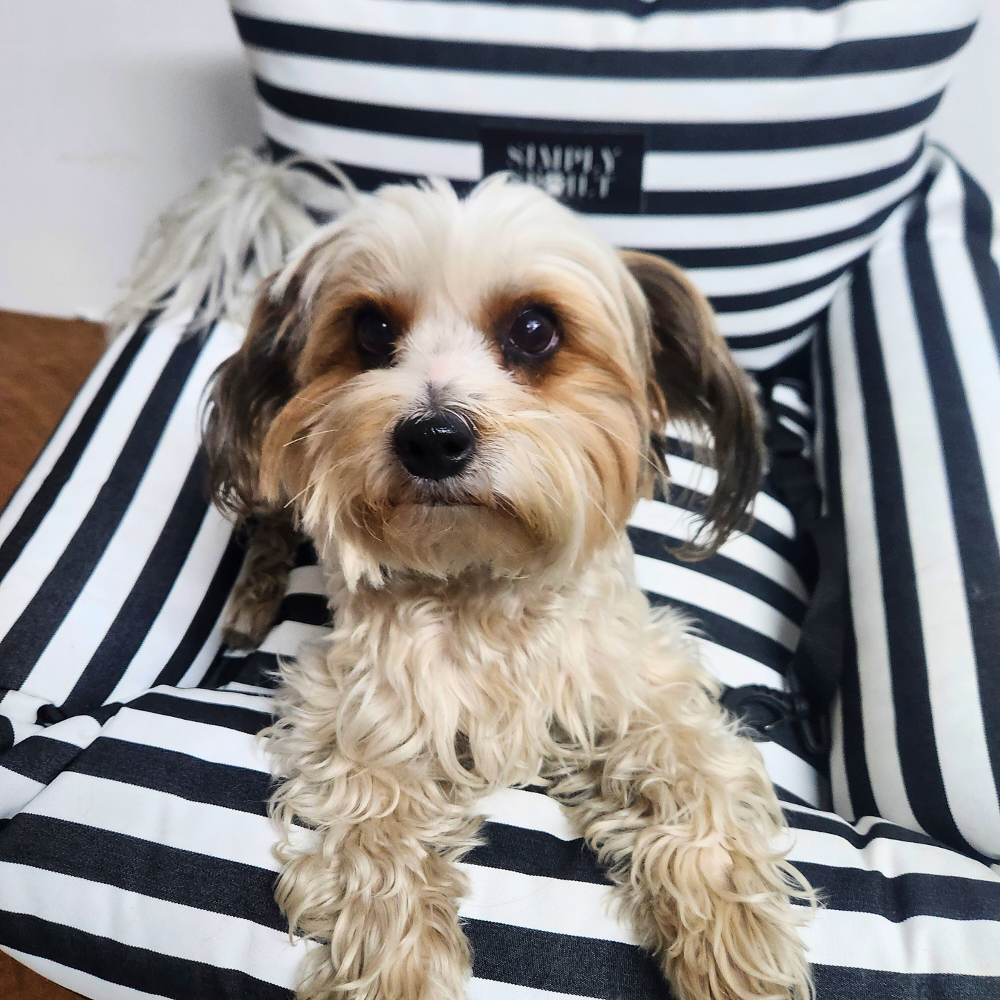 2-IN-1 PET CAR SEAT AND BED