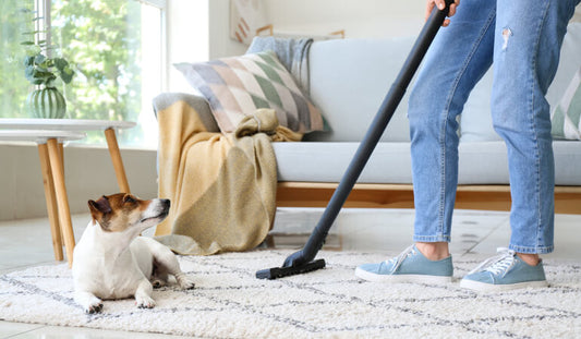How to Manage Shedding and Keep Your Home Fur-Free