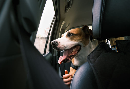 The Benefits of Simply Spoilt’s 2-in-1 Car Seat Bed