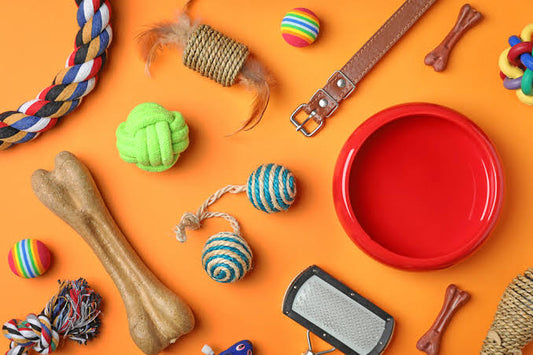 The Difference Between Basic and Premium Pet Accessories