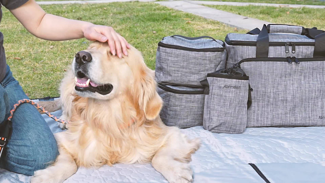 Why Simply Spoilt’s Pet Travel Bags Are a Must-Have for Every Pet Owner