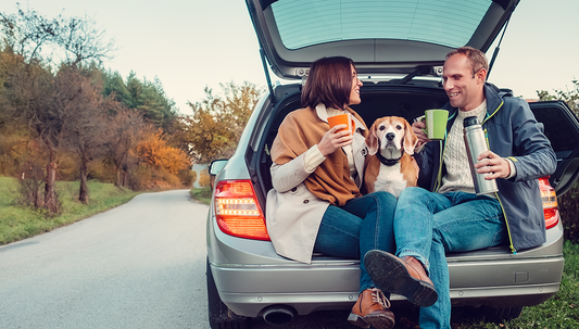 Why is a pet travel bag necessary?