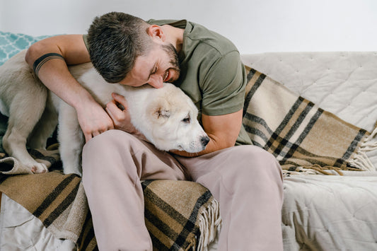 Does your dog need a blanket for winter?