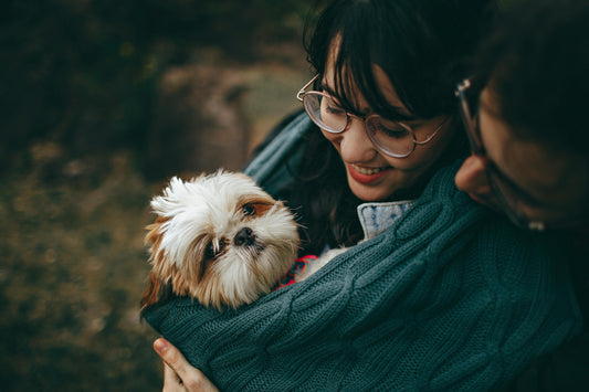 A photo of a dog in a calming blanket