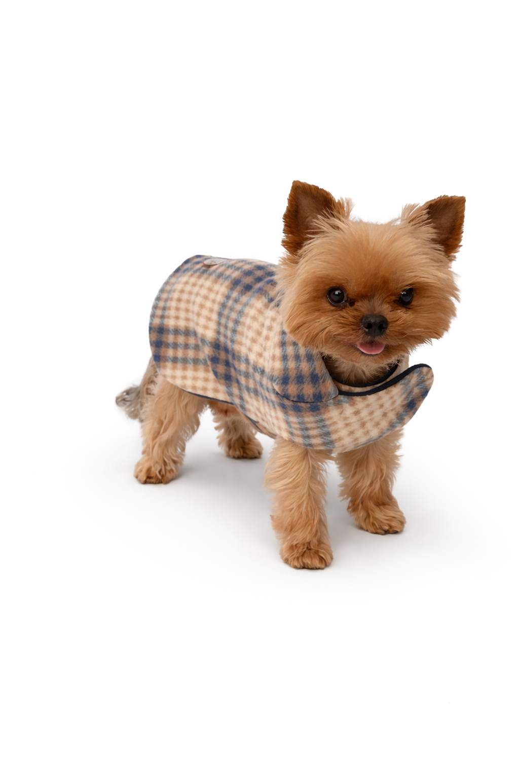 Doggy Winter Jackets Winter