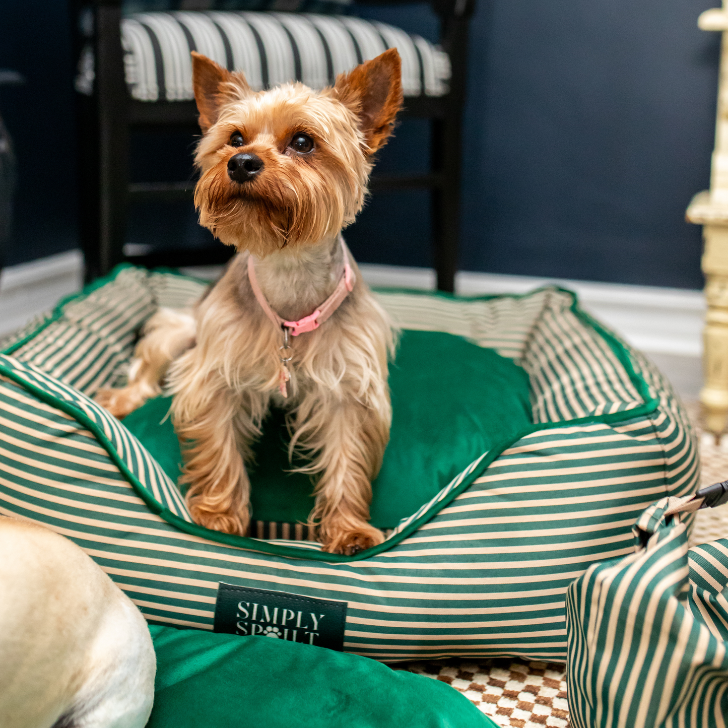 Royal Slumber Dog Beds