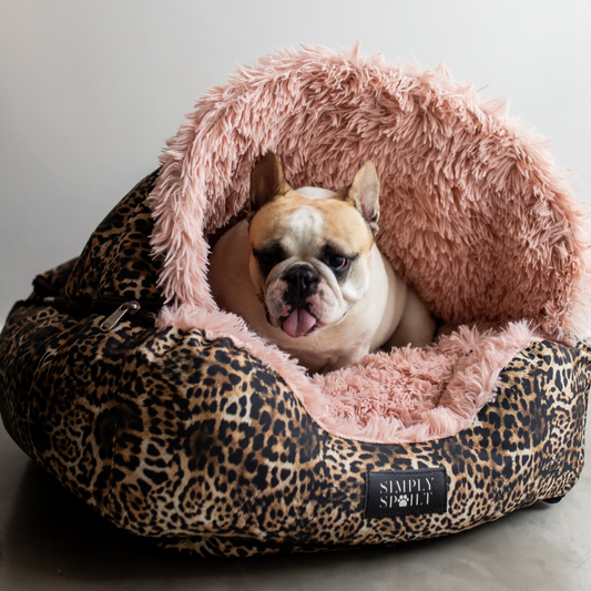 Burrow Dome Bed