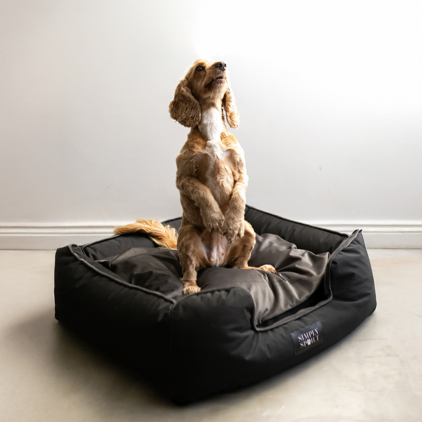 Royal Slumber Bed