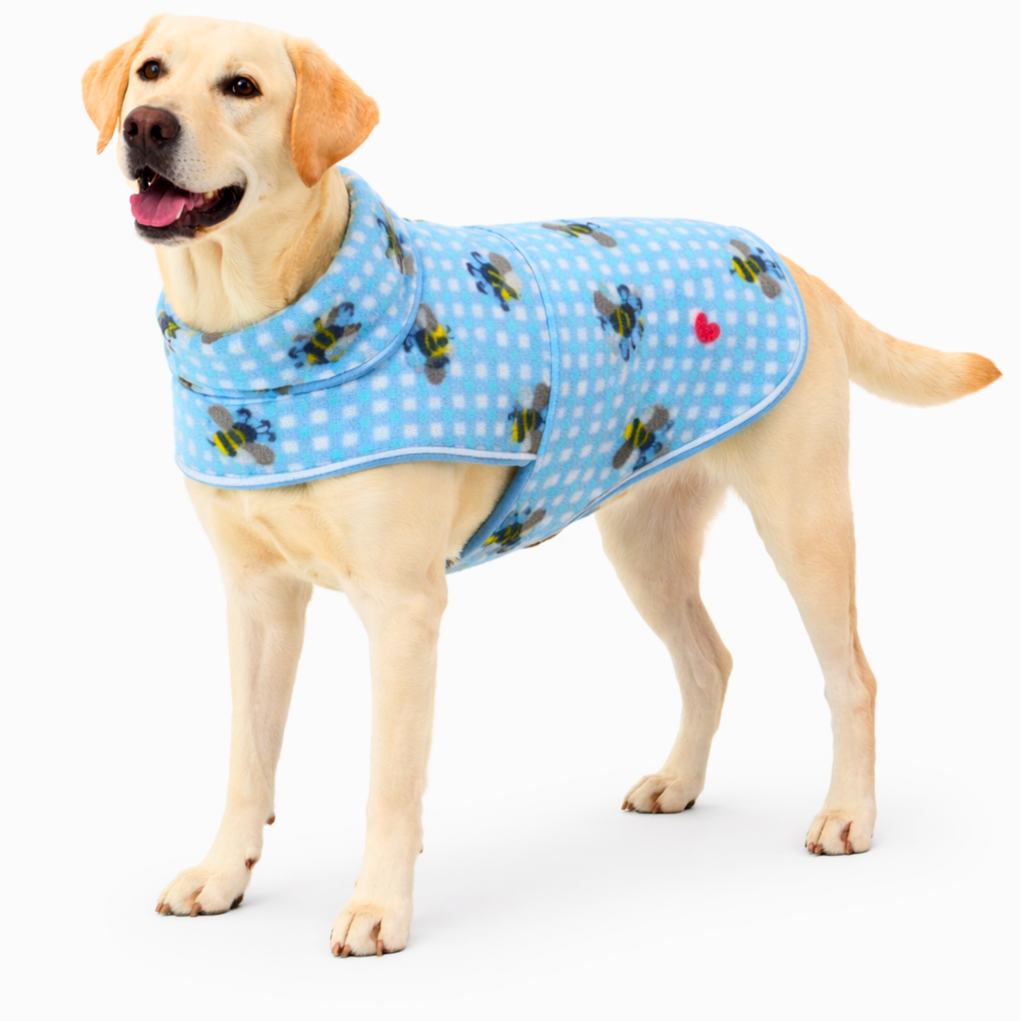 Doggy Winter Jackets Winter