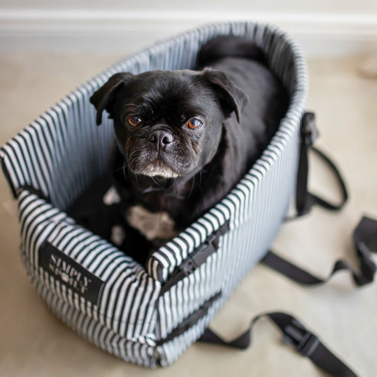 CONSOLE CAR SEAT