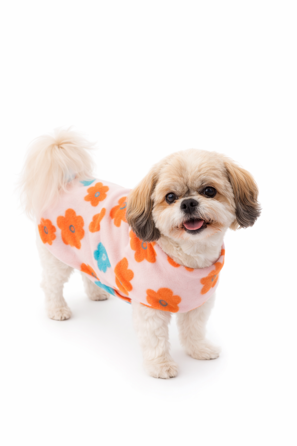 Doggy Winter Jackets Winter