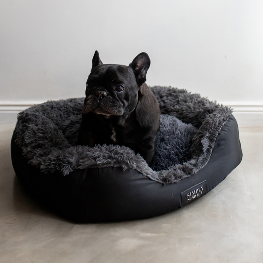 Calming Slumber Bed