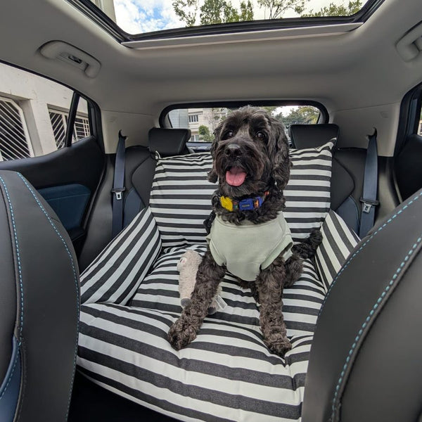 Car Seat Caitlin and Bear, Simply Spoilt customer review