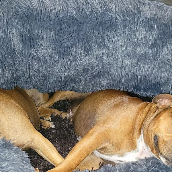 Burrow Dome Bed Natasha du P., Simply Spoilt customer review
