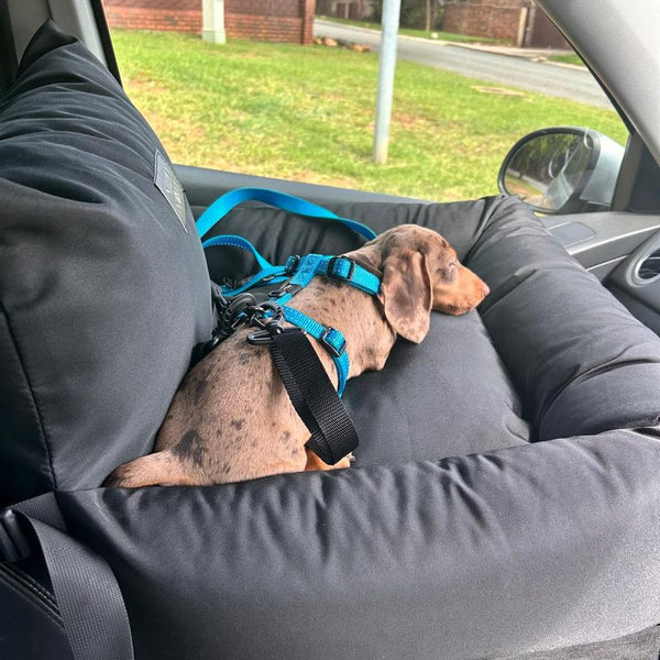 Car Seat Vadele G., Simply Spoilt customer review