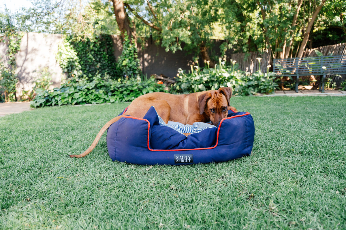 Dog relaxing on the Simply Spoilt Summer Slumber Bed in navy on a garden lawn